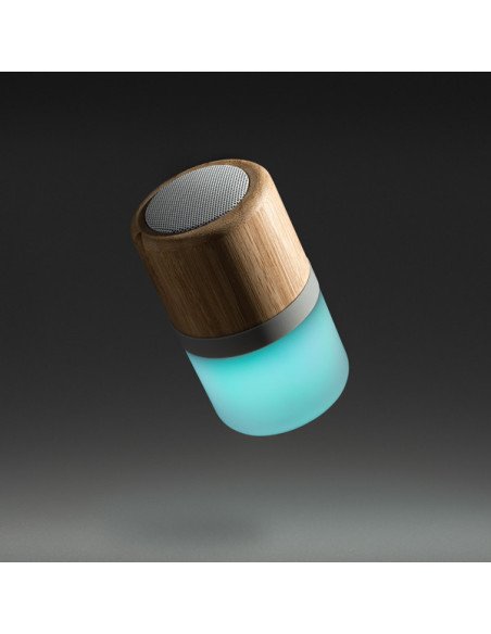 Altavoz OZCAN personalizado de Roly imagen 3