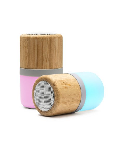 Altavoz OZCAN personalizado de Roly imagen 4