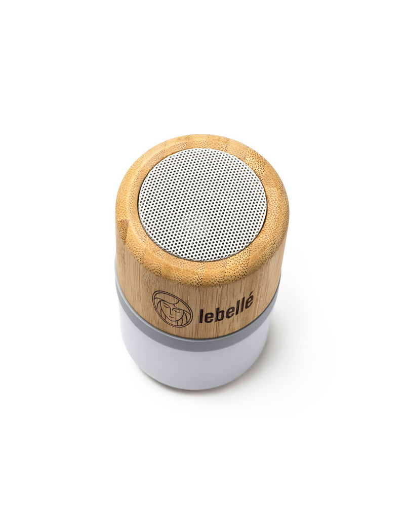 Altavoz OZCAN personalizado de Roly imagen 5