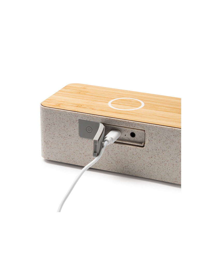 Altavoz ZATOX personalizado de Stamina imagen 3
