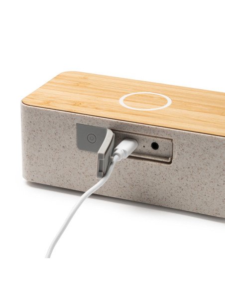 Altavoz ZATOX personalizado de Stamina imagen 3