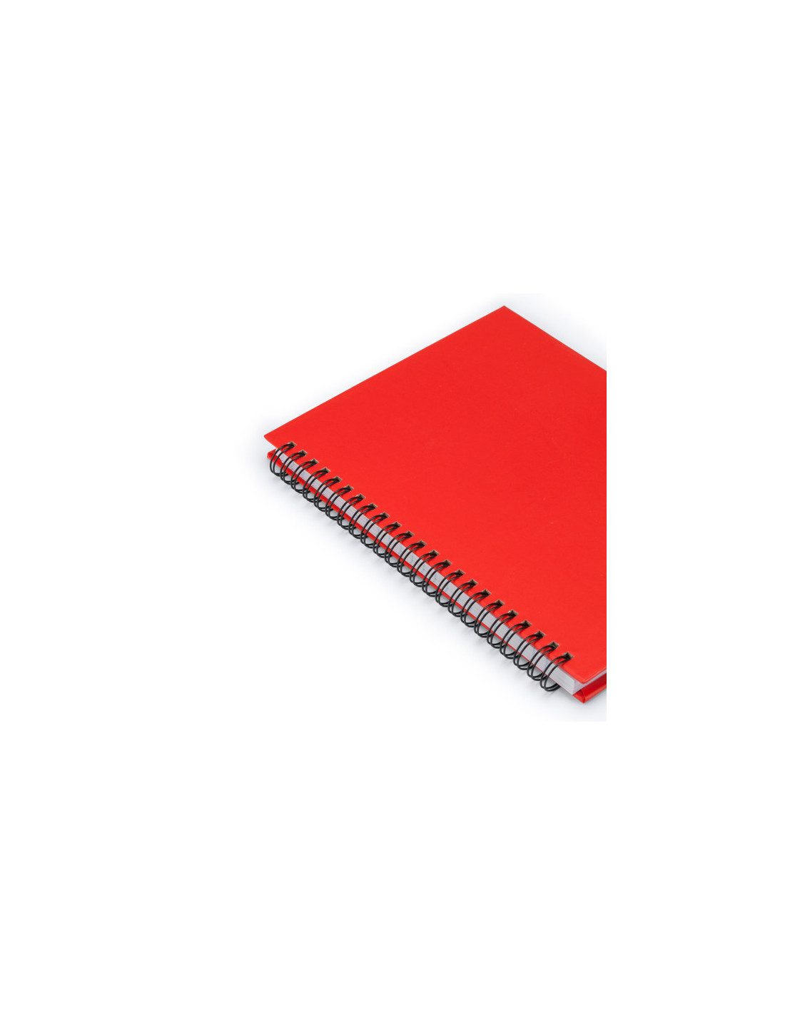 Libreta VALLE personalizado de Stamina imagen 6