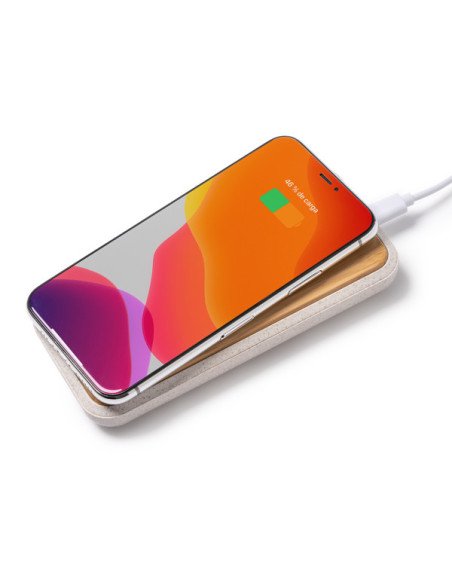 Batería externa BLASTER