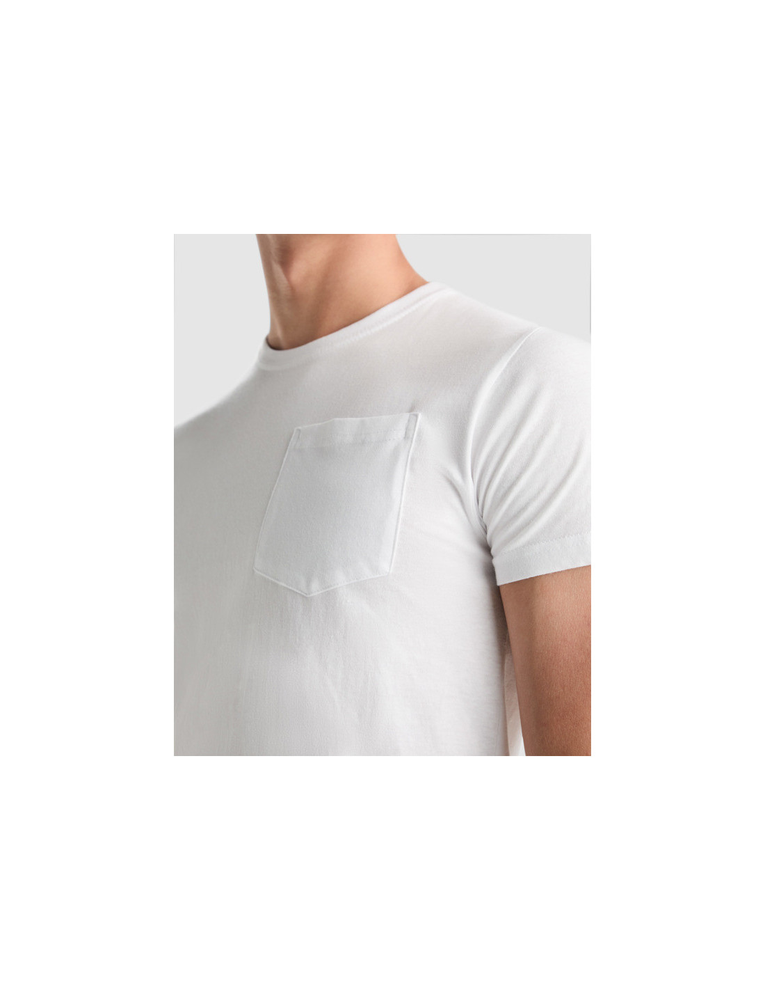 Camiseta manga corta TECKEL personalizado de Roly imagen 9