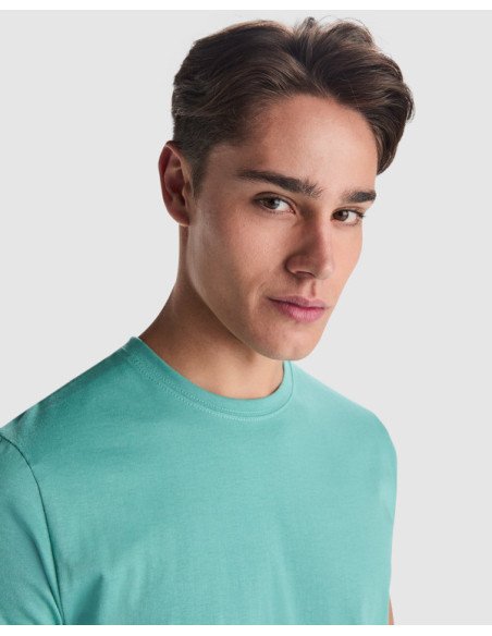 Camiseta STAFFORD personalizado de Roly imagen 37