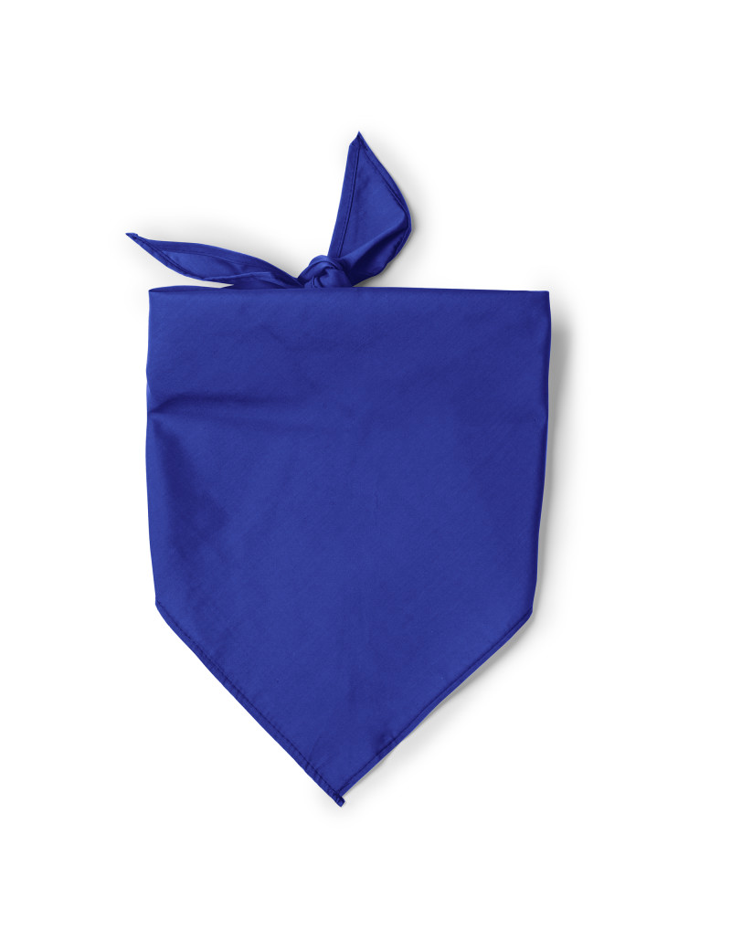 Pañuelo de forma triangular JARANA personalizado de Stamina imagen 7