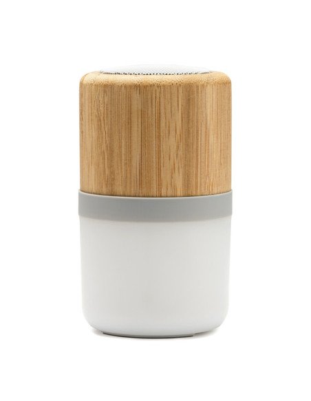 Altavoz OZCAN personalizado de Roly imagen 1