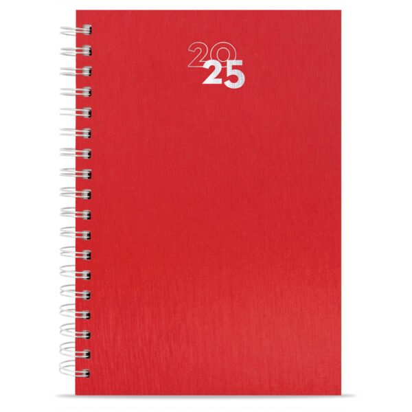 Agenda NICK Z-824