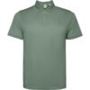 VERDE LAUREL