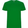 VERDE GRASS