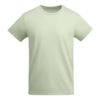 VERDE MIST