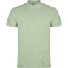 VERDE MIST