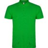 VERDE GRASS